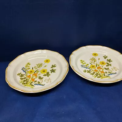 1976 Mikasa Garden Club  FRESH FLORAL  Set/2 Dinner Plates Disc. 1982 Japan EUC  • $15.99