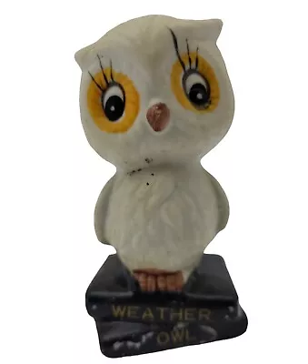 Vintage  Ceramic Owl Weather Forecaster On Books Figurine • $9.99