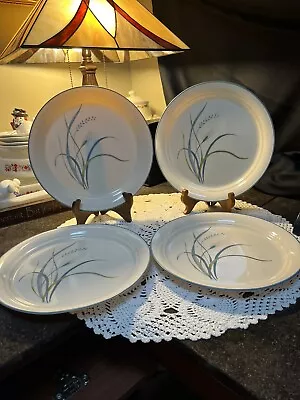 Corelle Coastal Breeze Dinner Plates--Set Of 4-- 10 1/4'' • $15.99