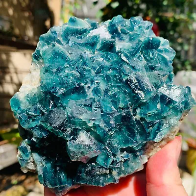 966g NATURAL Green FLUORITE Quartz Crystal Cluster Mineral Specimen • $30