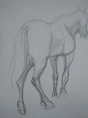 Original Hand Drawn Pencil Sketch Expressive Equestrian Drawing Of A Horse • £29.99