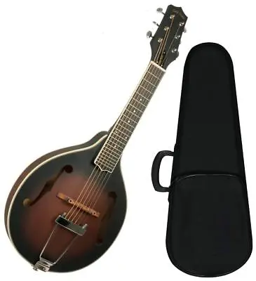 Gold Tone A-6 Acoustic-Electric Mando Guitar W/ Gig Bag • $599.99