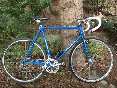Pinarello Treviso 1984 Vintage Steel Road Bike | 59cm Frame • $600