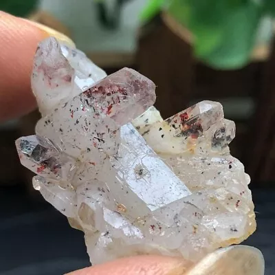 Rare NATURAL Clear Strawberry Crystal Super Seven QUARTZ Mica Crystal Specimen • $12.05