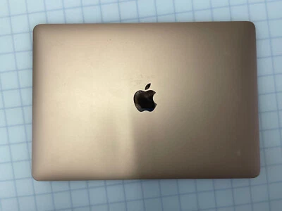 $0.99 • Buy Apple MacBook Air M1 (A2337/ EMC 3598) Display Assembly - Gold - Damaged