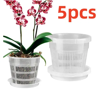 5Pcs Transparent Orchid Pot With Holes & Saucers Root For Home Garden Plant  • £9.95