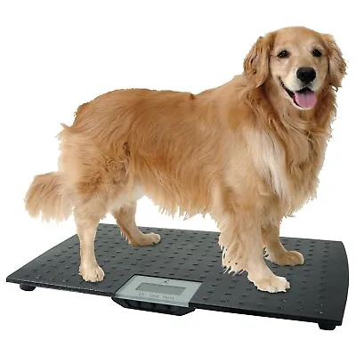 $97 • Buy Large Digital Pet Scale Animal Weight Pet Dog Cat Black 16 X 28 X 1.75 Inches 