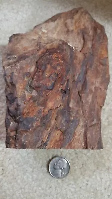 Petrified Wood With Defined Knott On Specimen Polished On Base / 1 Lb + • $5