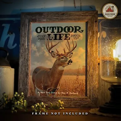 Vintage Whitetail Deer Art Print Hunting Magazine Fishing Cabin Wall Decor Gift • $9.95