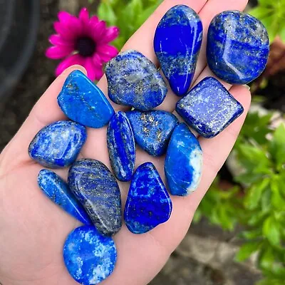 Lapis Lazuli Tumblestones Natural Crystal Healing Stones Blue Gold Stone UK • £4