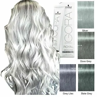 Schwarzkopf Igora Royal Absolutes Silver White Dove Grey 60ml Brand New Tube • £7.75