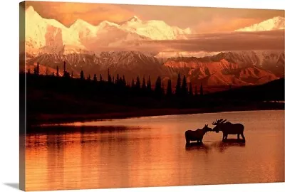 Moose Kissing In Wonder Lake Denali NP Canvas Wall Art Print Wildlife Home • $49.99