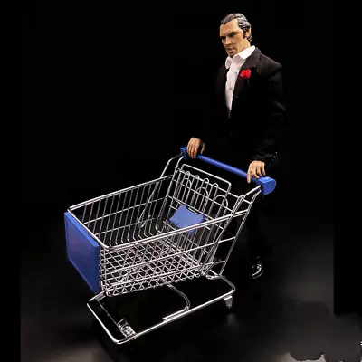 HOT 1:6 Miniature Hand Shopping Trolley Desktop Decoration Metal Shopping Cart • $16.55