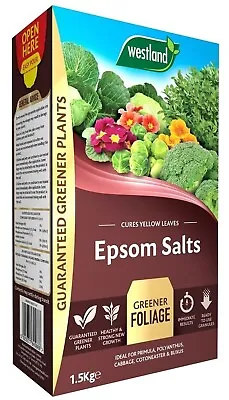 Westland Garden Lime Epsom Salts Seaweed Plant Soil Growth Stimulant Conditioner • £12.49