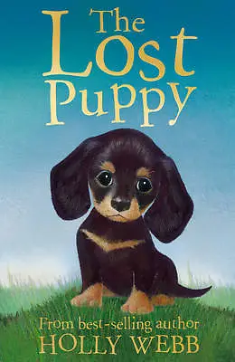 Webb Holly : The Lost Puppy: 20 (Holly Webb Animal St FREE Shipping Save £s • £2.20