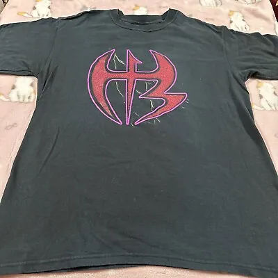 Hardy Boyz VTG  Xtreme Is A Lifestyle  T-Shirt Large Matt Jeff WWE WWF Original • $79.99