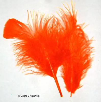 Quality Marabou Feathers HOT ORANGE  3-8  L 7 Grams Approx 35 Ct • $3.15