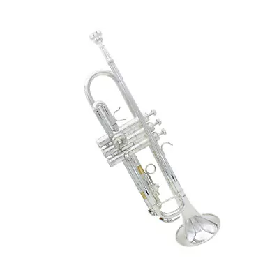 Trumpet Bb B Flat Brass Exquisite With Mouthpiece  E8C4 • $126.58