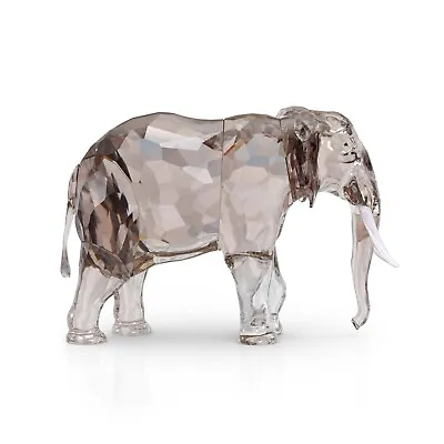 $425 • Buy Swarovski,  Scs 2022 Annual Edition Elephant, Fayola #5604555, Brand New And Mib