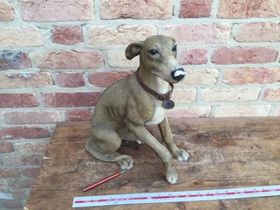 £25 • Buy Fawn Tan Greyhound Ornament Sculpture Statue  Leonardo Figurine,/March Cambs 