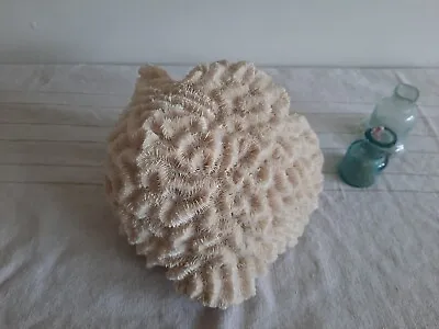 Large Vintage Natural Brain Coral Original White Rare Nautical Prop Sea Find Old • $180.46