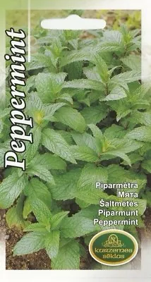 £1.89 • Buy Herb Seeds Mint Peppermint Herbal For Cold Drink Tea Garden Pictorial Packet UK