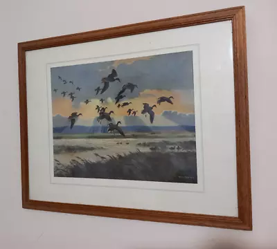 VINTAGE Framed Peter Scott Print - Mallards In A Stormy Sky -Duck Bird Interest • $22.41