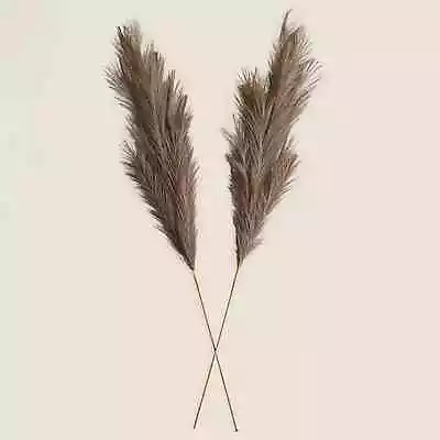 Abigail Ahern SET OF TWO Large Taupe Faux Pampas Grass Stems - RRP £24 • £14.99