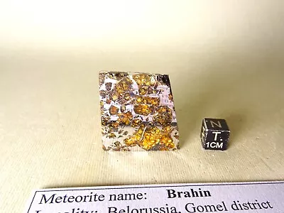 Meteorite Pallasite BRAHIN Nice Olivines Polished To Mirror Part Slice 142 G • £135.79