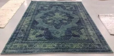 BLUE / MULTI 8' X 10' Back Stain Rug Reduced Price 1172708144 VTG158-2220-8 • $224