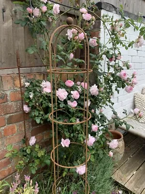 Rusty Metal Garden Obelisk Rustic Climbing Plant Support Frame 1.25m Small Round • £55