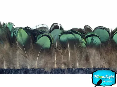 1 Yard - Green Bronze Lady Amherst Pheasant Tippet Feather Trim Fashion Wedding  • $18.13