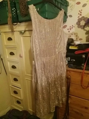 £5 • Buy Monsoon Beige Floral Lace Sleeveless Dress UK  18 Zip