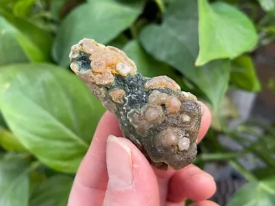 30gNatural GoBi Agate Eye Agate Stone Suiseki-viewing Collection • $14.70