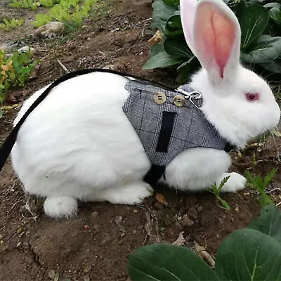 Rabbit Harness Comfortable Breathable Walking Safety Leashes 3 Colors • $8.05