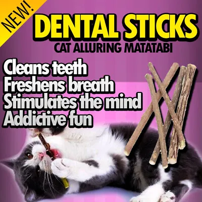 Cat Dental Sticks Toy Matatabi Silver Vine Catnip Chew Toy Kitten Clean Teeth • $12.99