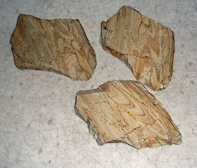 3 Small Beige Wonderstone Stone Slabs From McDermitt- Wood Like Patterns • $10