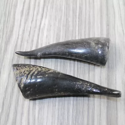 2 Small Polished Goat Horns #3043 Natural Colored • $17