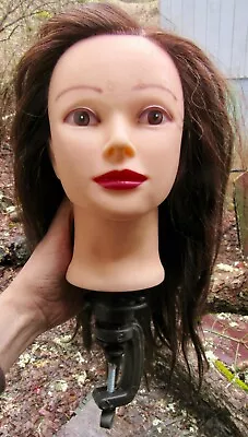 Vtg COSMETOLOGY MANNEQUIN HEAD Brunette REAL Human HAIR Clamp 3D Beauty RARE VG+ • $49.99