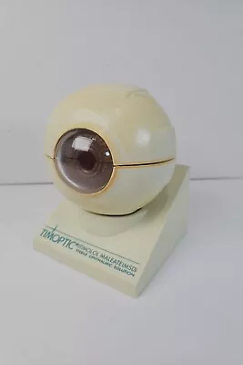 Vtg Timoptic Opthalmic Solution Human Eye Anatomical Optometrist Model Display  • $79.99