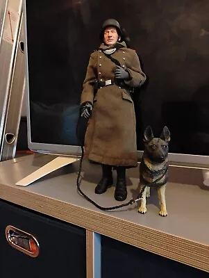 Dragon Bbi 1/6 German Guard With Alsatian  Dog Action Figures • £50