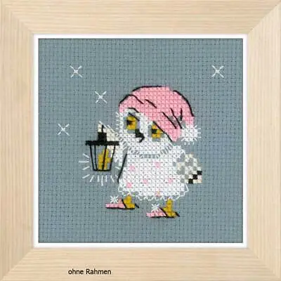 Riolis Counted Cross Stitch Kit Lantern DIY • $10.37