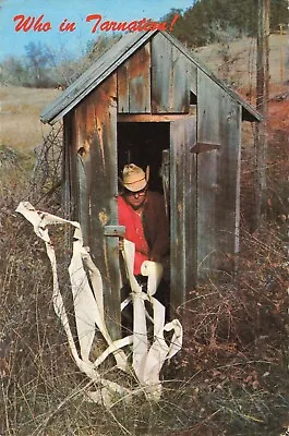 Postcard Vintage Outhouse Who In Tarnation! Whipped This Paper Around The Cob • $6.50