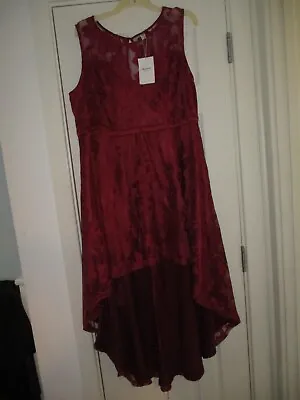 Ladies Wine Colour Dip Hem Lace Long Dress Nwts Size 24 • £24