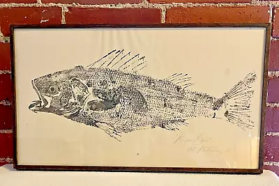 £137.63 • Buy Gyotaku Fish Rubbing Striped Bass Rockfish Striper Print Etching Art Rothenberg