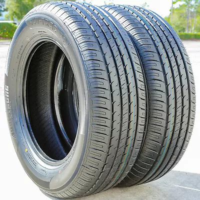 2 Tires Armstrong Blu-Trac PC 205/65R15 99H XL A/S All Season • $119.93