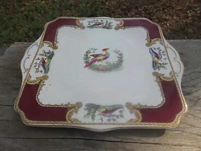 Antique Chelsea Bird Porcelain Plate Myott's Royal Crown Staffordshire England • $48.99