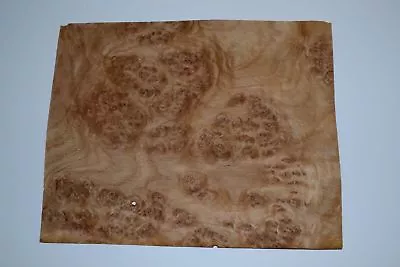 Oak Burl Raw Wood Veneer Sheet 8.5 X 11 Inches 1/42nd                   E6925-2 • $13.42