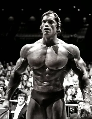 Arnold Schwarzenegger Wall Poster Arnie Mr Olympia Bodybuilding Sz A4 A3 A2 & A1 • £8.99