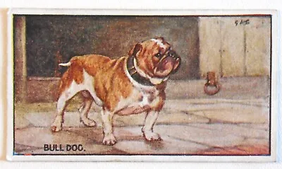 1924 Murray  Sons & CoCigarette Cards  Belfast Choose Yours From Drop Down Box • £1.25